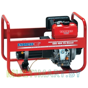 Электростанция ENDRESS ESE 404 YS